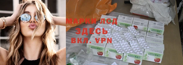 mdpv Каменногорск