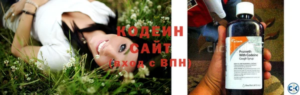 ГАЛЛЮЦИНОГЕННЫЕ ГРИБЫ Инсар
