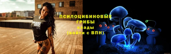 ГАЛЛЮЦИНОГЕННЫЕ ГРИБЫ Инсар