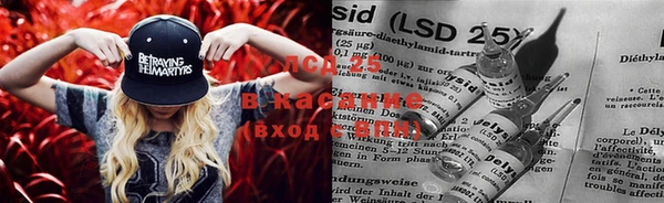 ГАЛЛЮЦИНОГЕННЫЕ ГРИБЫ Инсар