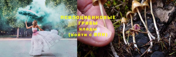 ГАЛЛЮЦИНОГЕННЫЕ ГРИБЫ Инсар