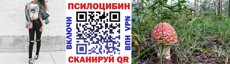 Псилоцибиновые грибы Cubensis  Купить где  Мариинск 